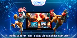 Trường Gà Savan - Giải Trí Đẳng Cấp Và Cá Cược Xanh Chín