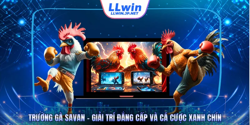 Trường Gà Savan - Giải Trí Đẳng Cấp Và Cá Cược Xanh Chín